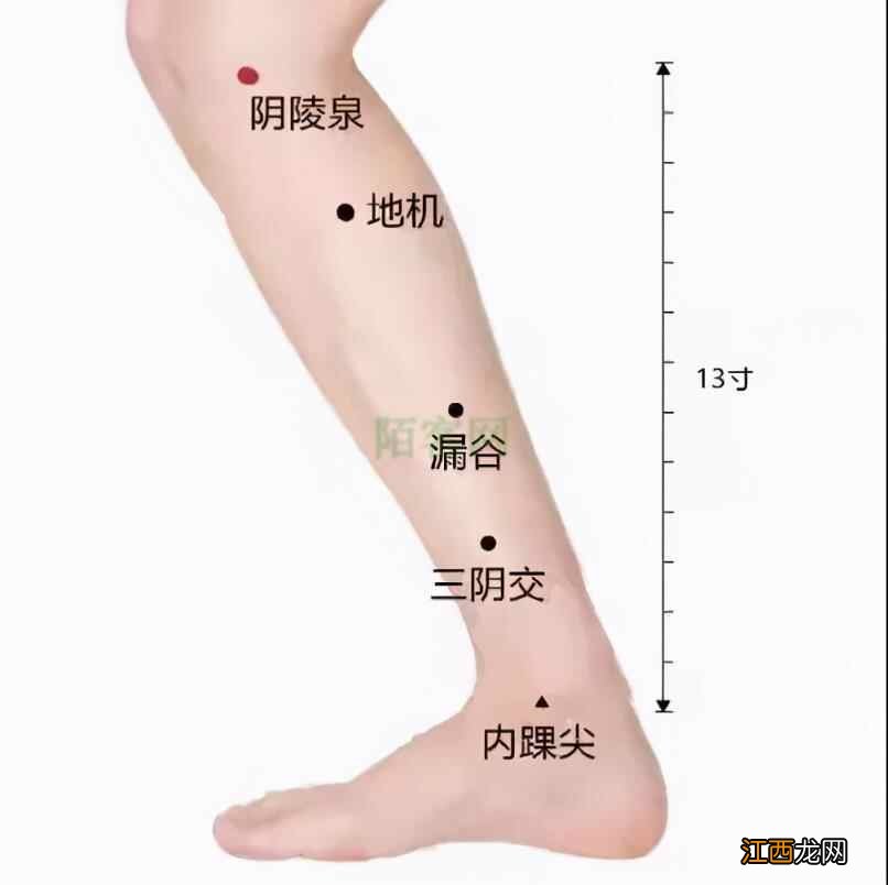 今日立春丨这些立春养生全攻略值得收藏转发