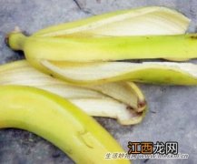 巧用香蕉皮煮水止痒