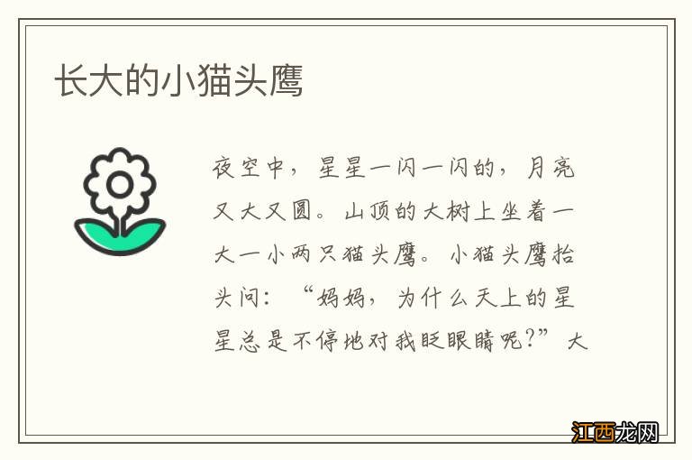 长大的小猫头鹰