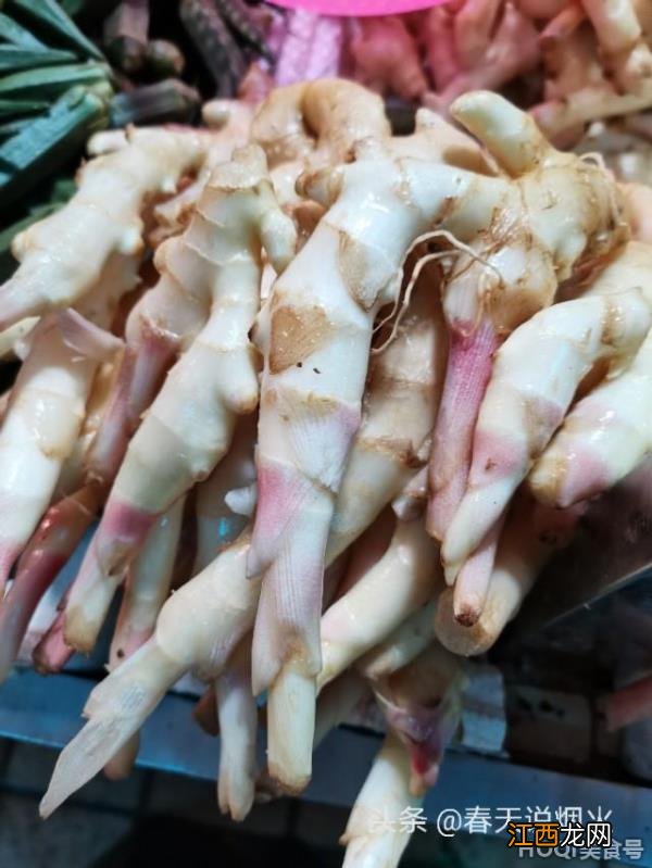 嫩姜,子姜怎么做好吃?