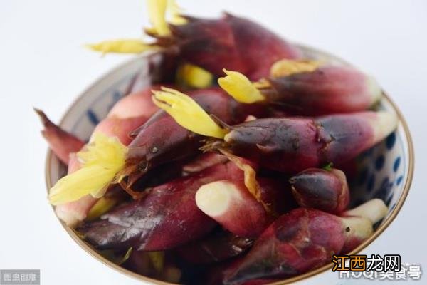 阳荷姜是什么植物，阳荷姜如何吃？