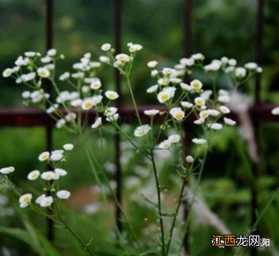 夏季养生保健指南