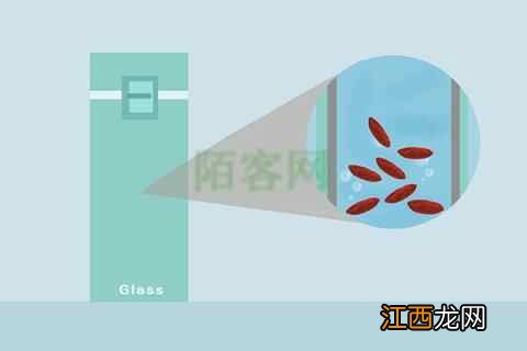 入秋养生:谨记“3不要、3不急、3不宜”,助您安全过秋冬