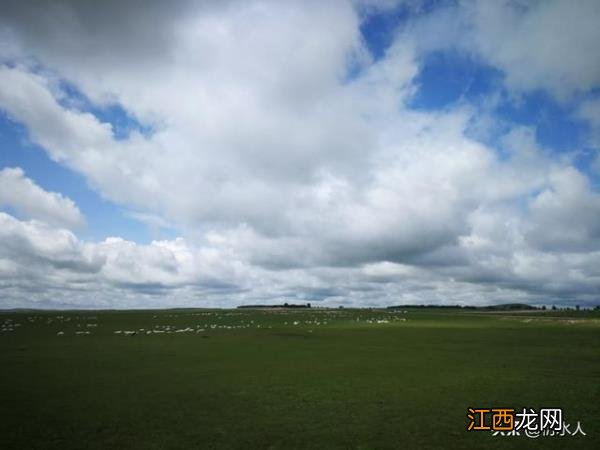 呼伦贝尔草原清凉度夏之旅暑期适合带孩子去旅游的地方