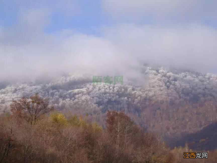 来通化过大年｜康养谷里赏年景，送你一个养生年