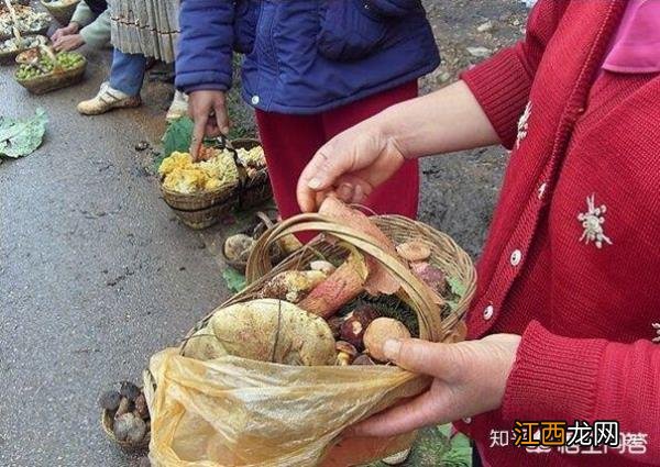 夏天到了，我们家乡有二三十种可以食用的野生菌一件与家乡美食有关的难忘往事