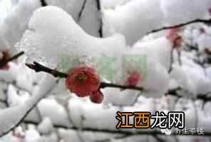 24节气养生专题 大雪养生