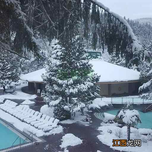 疯玩养生两不误,加拿大的冬天你值得拥有!