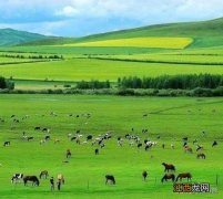 内蒙古有哪些吸引你的地方？内蒙古有什么好吃的美食