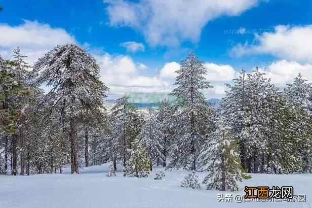 初雪降临，塞浦路斯的滑雪季还会远吗？