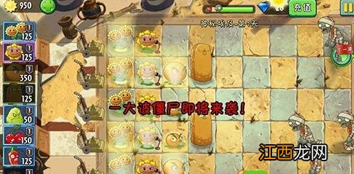 第1关通关攻略 植物大战僵尸神秘埃及第1关怎么过