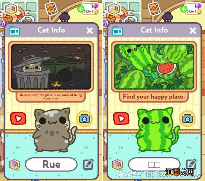 小偷猫破解版下载安装 小偷猫下载破解版