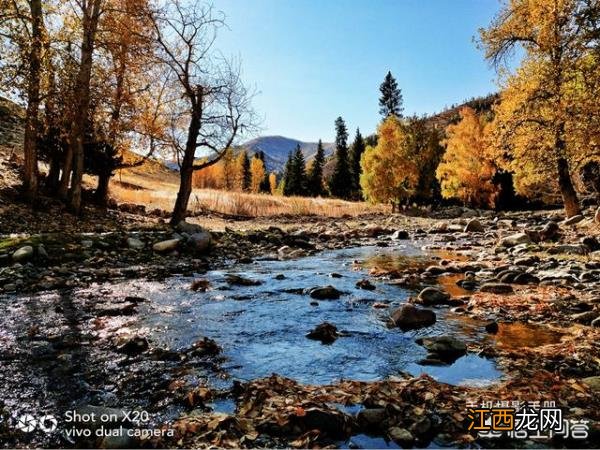 旅行中的风景和美食摄影师镜头里都是美的风景