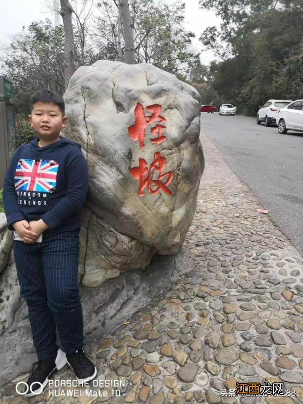 厦门旅游玩的地方很多，我开车到厦门已经是晚上啦厦门必打卡的景点