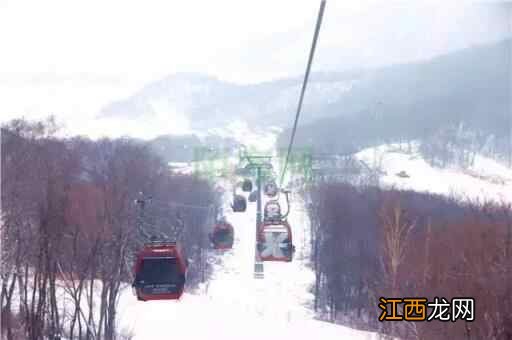 玩雪、滑雪、泡温泉……过不一样的假期
