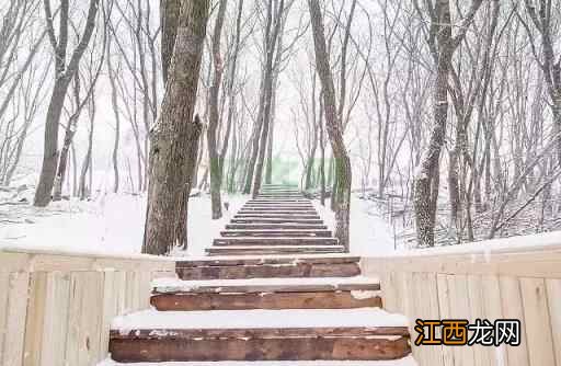 玩雪、滑雪、泡温泉……过不一样的假期
