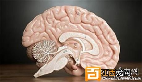 真相:玩手机上瘾会导致脑萎缩吗?