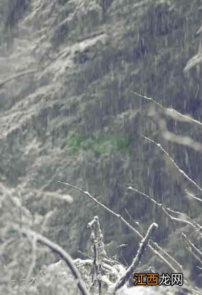 今日大雪，蓄阳补精，养生做好三件事，这个冬天不生病！