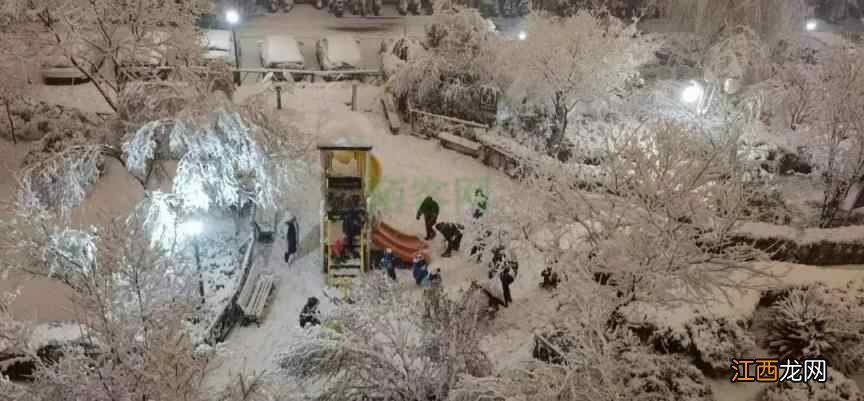 大雪到，寒冬至，如何养生？