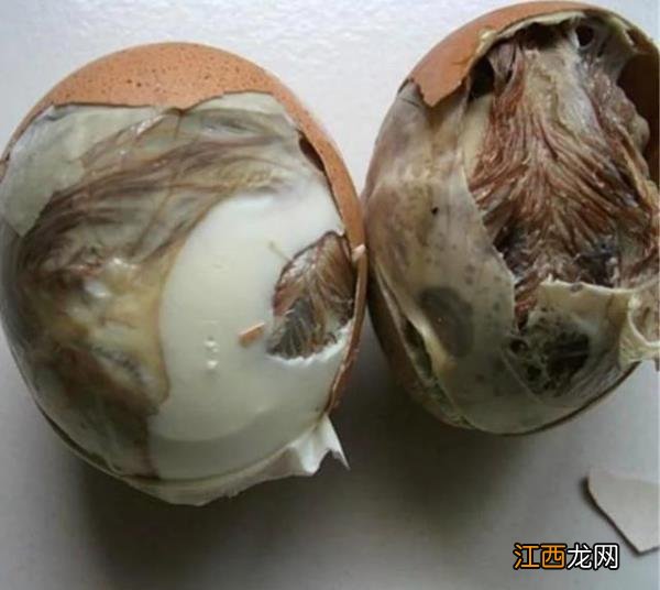 浜茶哪些食物吃了不容易饿