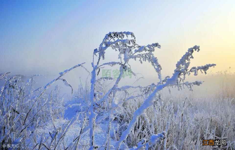 大雪时节话养生