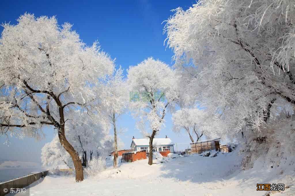 大雪时节话养生