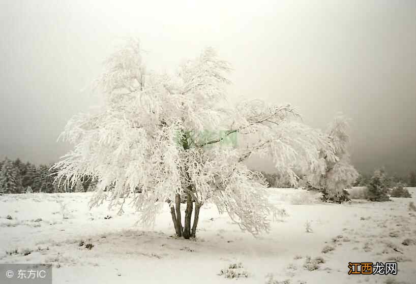 大雪时节话养生