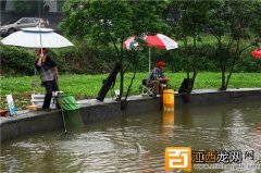 夏季阴雨天气对钓鱼的影响和应对方案