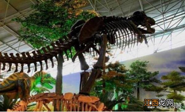 楚雄有哪些著名景点？楚雄有什么好玩的地方吗