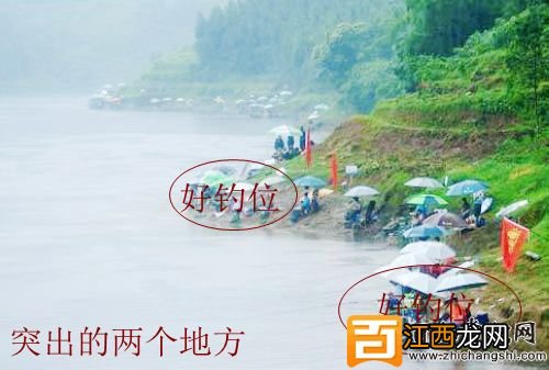 钓鱼位置很重要,教你如何选择好的钓位