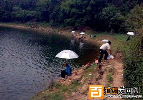 夏季水库钓鱼的技巧 夏季水库钓鱼最佳钓点