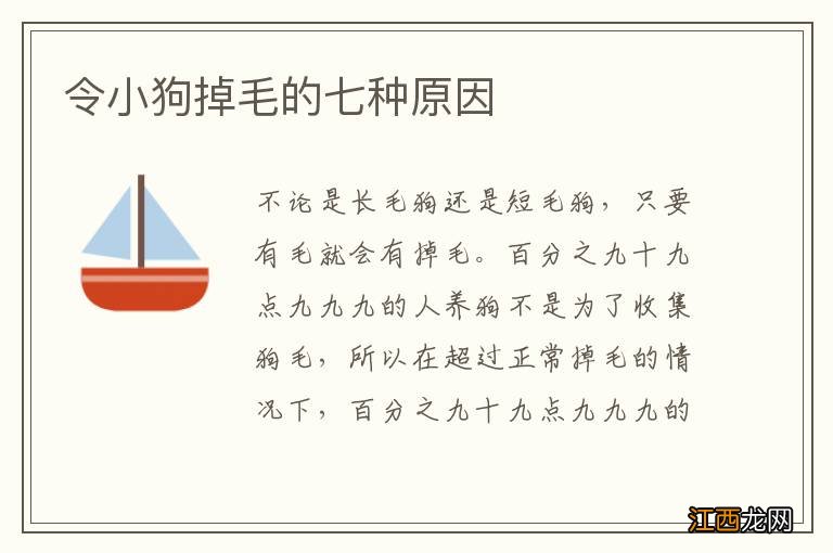 令小狗掉毛的七种原因