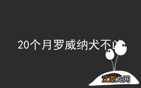 20个月罗威纳犬不凶