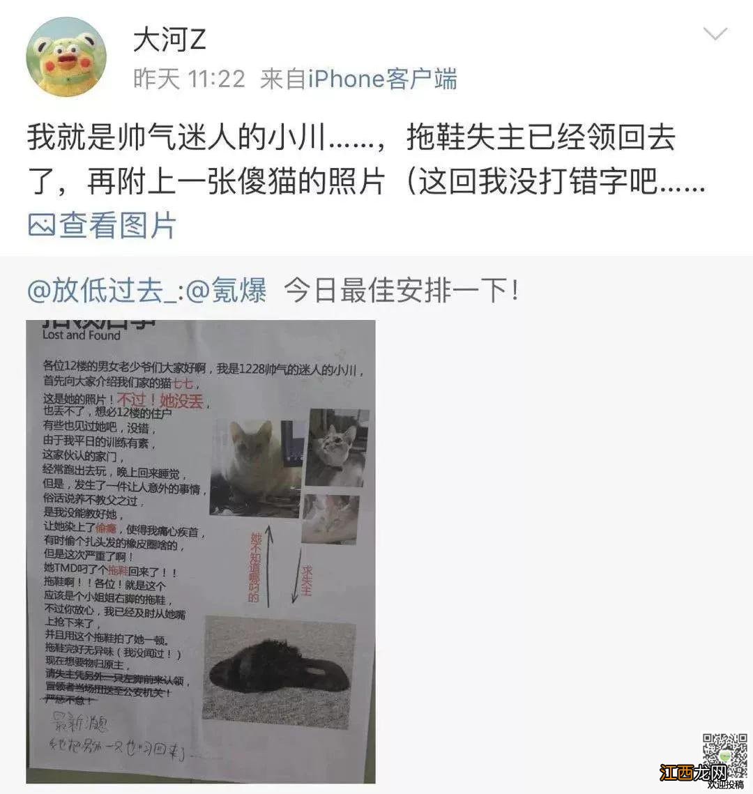 笑死了!网友家的猫咪染上偷窃的毛病，为寻失主他贴了这么一个招领启事。