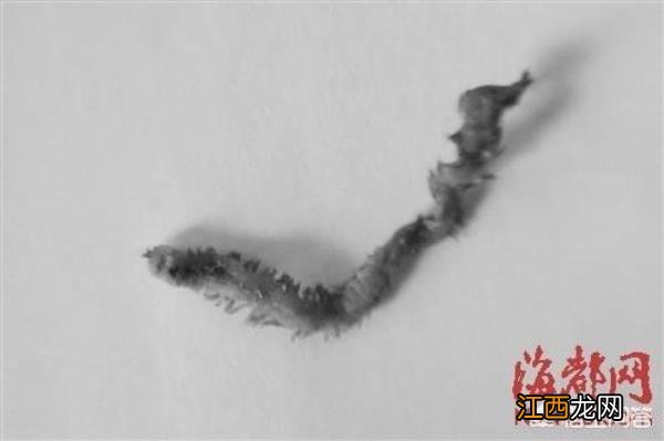 福建有哪些外地人不敢吃的美食?福建人好吃吗