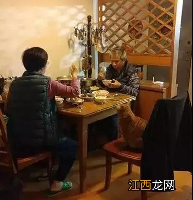 网友家的橘猫很贪吃，每天都用这表情讨吃的，百试不爽