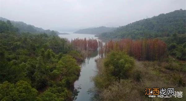 中山双合山旅游攻略