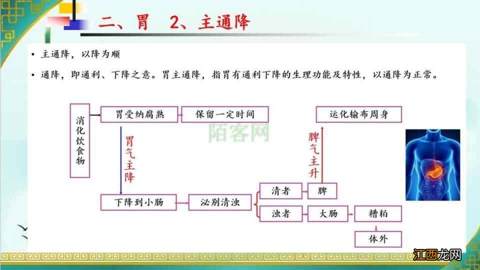 一文读懂:脾胃病机治法方药