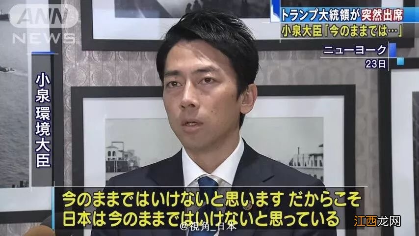 今日趣闻 柴犬汉堡包 & 日本人最一言难尽的分手理由 等