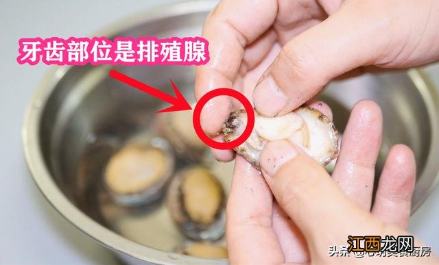 鲍鱼不能什么食物一起吃，别嫌麻烦，看完 鲍鱼不能和什么东西同吃