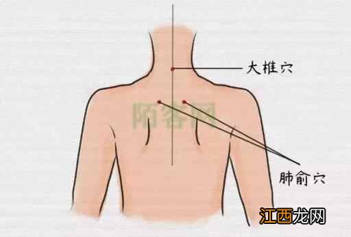 心脑血管专家虞桂博士：二十四节气之大寒如何健康养生