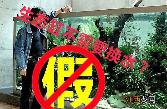 揭秘水族行业的骗局，呼吁大家不要再上当！