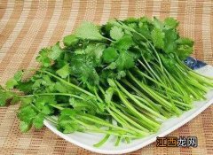 香菜怎么吃 香菜的食用方法