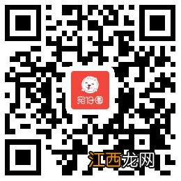 【清道夫吃什么】喂食要注意什么事项？