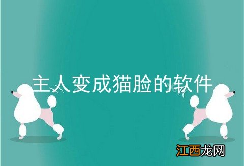 主人变成猫脸的软件