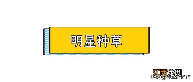 黑幕！“小红书”被爆笔记造假？这些全部会烂脸···太可怕了