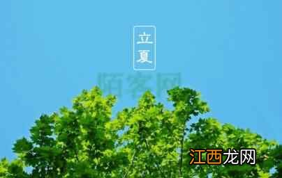 明日立夏，送你一套最全夏季养生方案，简单又实用