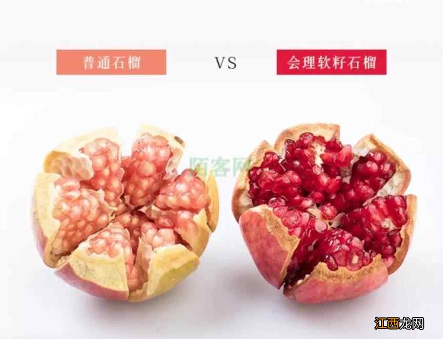 秋季养生果品来袭，你的味蕾蠢蠢欲动了吗？