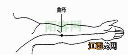 药学服务与健康生活方式—四季养生