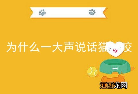 为什么一大声说话猫就咬